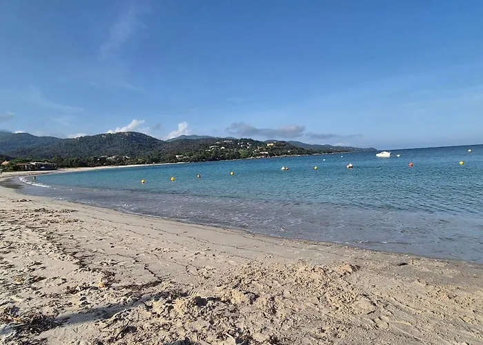 Villa Moderne De Standing Avec Piscine Privee A 400M De La Plage - 4 Chambres